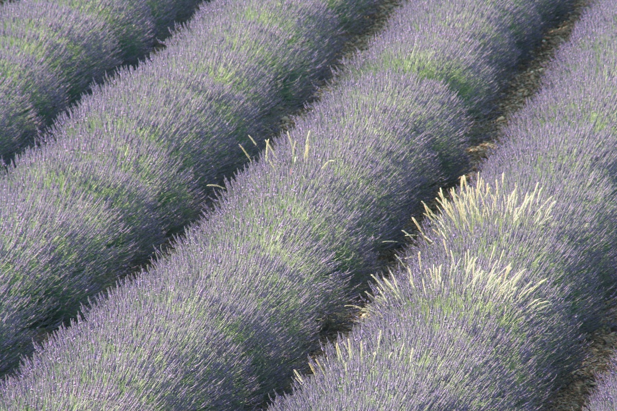 Provence 06